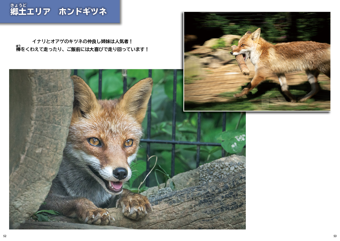 既刊紹介 ほんものフレンズずかん 房総旅団 公式ホームページ